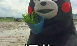 爆料吃瓜道歉的句子图片,网络舆论下的形象修复之路